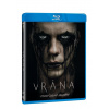 Vrana BD