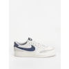 Nike SB Zoom Pogo Plus (photon dust/midnight navy wolf grey) 40.5, biela