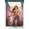 Wonder Woman: Srdce Amazonky - Shea Fontana, Tim Seeley, Vita Ayala, Michael Moreci, Collin Kelly, Jackson Lanzing