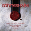 Whitesnake - Slip Of The Tongue / Vinyl / 2LP [2 LP]