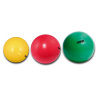 SPARTAN SPORT Gymnastická lopta SPARTAN priemer 55 cm - modrá