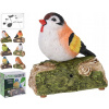 VTÁK vtáčik záhradný figúrka ozdoba so zvukom a1