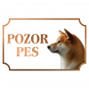 Akita Inu - Kovová tabuľka POZOR PES