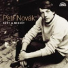 Novák Petr - Svět a nesvět / 2CD [2 CD]