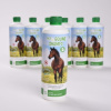 Pet & Equine Shampo 500 ml (balenie pre kone)