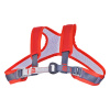 CAMP Air Rescue EVO Chest L
