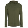 Icebreaker Merino 260 Quantum IV LS Zip Hoodie Men