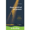 E-kniha Pane, príď mi na pomoc - Dibuk