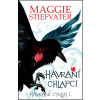 Havraní chlapci (1. diel) - Maggie Stiefvaterová