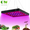 Osvetlenie pre rastliny - Panelová lampa pre rast rastlín 50W 169 LED (Osvetlenie pre rastliny - Panelová lampa pre rast rastlín 50W 169 LED)