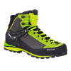 SALEWA CROW GTX obuv CACTUS/SULPHUR SPRING - lmg, 46 1/2