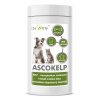 DROMY Ascokelp 800g