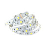 Svietidlo - svetelný zdroj - Taśma LED RGBW IP20 SMD5050 RGB + biały zimny 1M (Svietidlo - svetelný zdroj - Taśma LED RGBW IP20 SMD5050 RGB + biały zimny 1M)