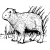 CUKROVÁ TLAČ jedlý obrázok na tortu Cukrová hmota Kapybara Čierna + MENO