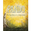 Pando - Author Kate Allen Fox