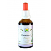 Salvia Paradise Brahmi - Bacopa monnieri AF tinktura 50ml