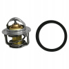 All Balls Termostat chladiča Polaris Ace 500 17-19, 570 15-19, Eu 15-18, H