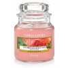 Yankee Candle Sun-Drenched Apricot Rose 104 g