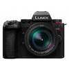 Panasonic LUMIX DC-G9II + LEICA DG VARIO-ELMARIT 12-60mm F2,8-4 ASPH. POWER O.I.S.