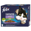 Felix Fantastic hovädzie, kuracie, losos, pstruh v želé 12 x 85 g