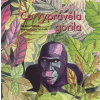 Co vyprávěla gorila - Markéta Pilátová