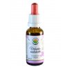 Salvia Paradise Vrbovka malokvětá AF tinktura 30 ml