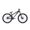 CTM Dirtking Xpert 2023