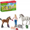 SCHLEICH Návštěva lékaře u klisny a hříběte herní set 2 koníci s doplňky