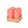 Nohel Garden Sviečka adventná perleťová d4x8cm 4ks