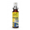 Original Dr. Bach®️ Rescue® Night sprej na spaní s obs. alkoholu Objem: 20 ml