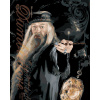 Zuty Maľovanie podľa čísel Plagát Dumbledore a horcrux (Harry Potter)