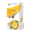 Megafyt ovocný Zázvor Med Citrón 20 x 2 g