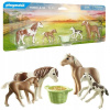 Playmobil 71000 Dva islandské kone so žriebätom