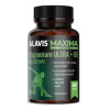 ALAVIS MAXIMA Magnézium ULTRA + B6 60 kapsúl