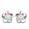 Náušnice z bieleho zlata AA s prírodným opálom 585er (Náušnice z bieleho zlata AA s prírodným opálom 585er)