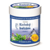 Simply You Pharmaceuticals a.s. KONSKÝ BALZAM SWISS chladivý 250+50 ml zadarmo (300 ml)