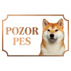 Akita Inu - Kovová tabuľka POZOR PES