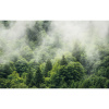 Komar Vliesová fototapeta Forest Land 400 x 250 cm