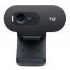 akce webcam Logitech HD Webcam C505e