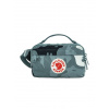 Ľadvinka Fjallraven Kanken Graphics Hip Pack - nimbus blue/hidden animals
