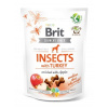 Brit Care Dog Insects with Turkey & Apples 200 g