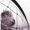 Pearl Jam - Vs. / Vinyl [LP]