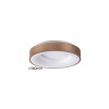 Rabalux CARMELLA 5052 stropné svietidlo LED 30W