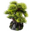 Dekorácie do akvária- bonsai borovica 9,5cm Aqua Della