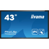 LED monitor iiyama T4362AS-B1 43 