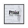 Praha 1848 1918 - Dvořák Tomáš Rejzl Bohuslav