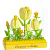 Koco mini Tulipány 8592190801854