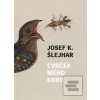 Cvrček mého krbu (Josef Karel Šlejhar)