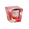BARTEK Christmas Flower 115 g – sviečka v skle