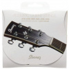 Ibanez IACS6C